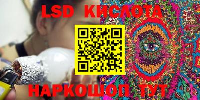 прущие грибы Донской