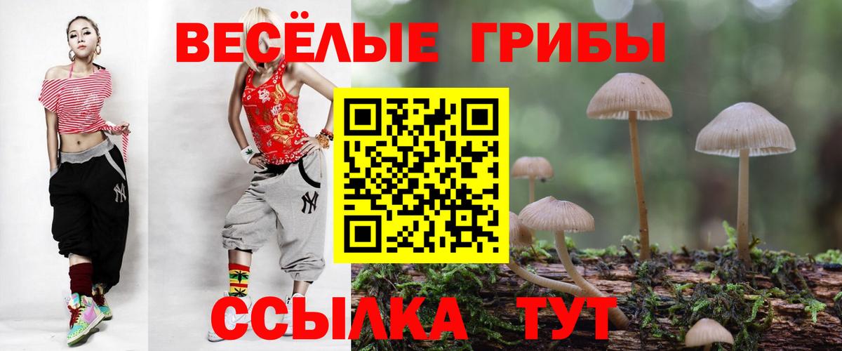 Галлюциногенные грибы MAGIC MUSHROOMS  Вход с VPN  Магнитогорск  Галлюциногенные грибы Psilocybine cubensis 